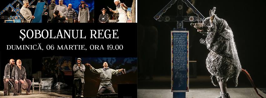 Premium Business WordPress Theme