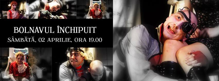 Premium Business WordPress Theme