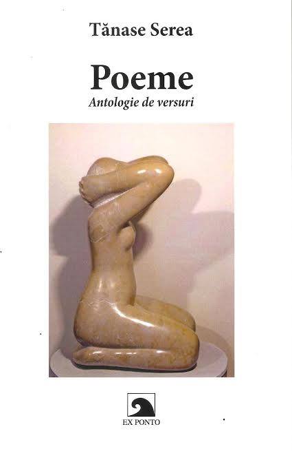 Premium Business WordPress Theme